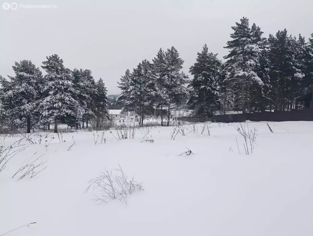 Участок в Суздальский район, муниципальное образование ... - Фото 2
