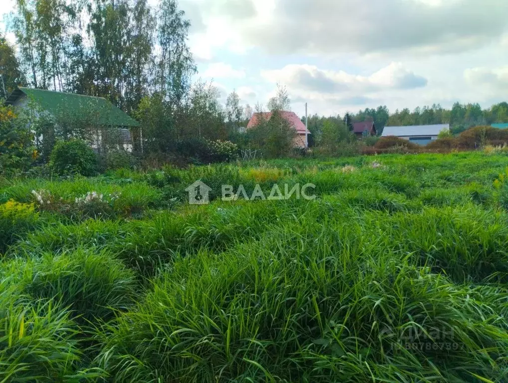 Участок в Ленинградская область, Всеволожский район, Рахьинское ... - Фото 0