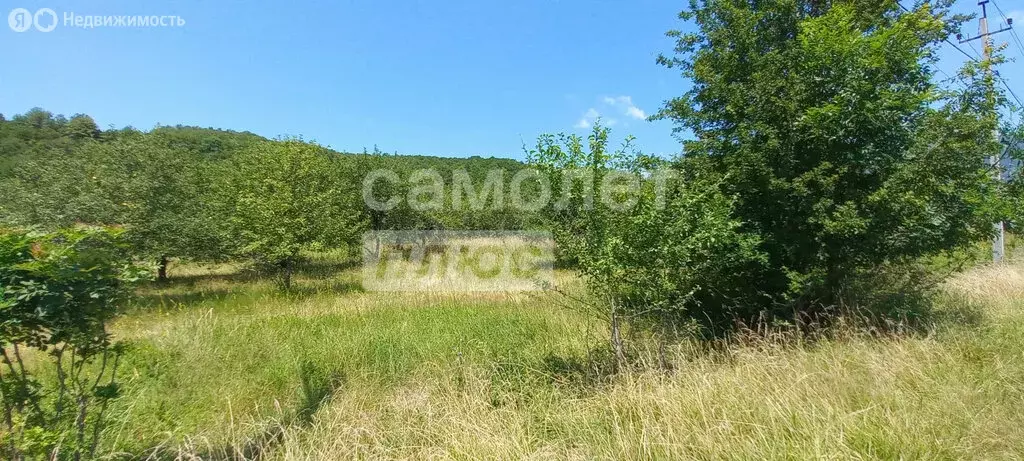 Участок в Краснодарский край, Туапсинский муниципальный округ, село ... - Фото 2