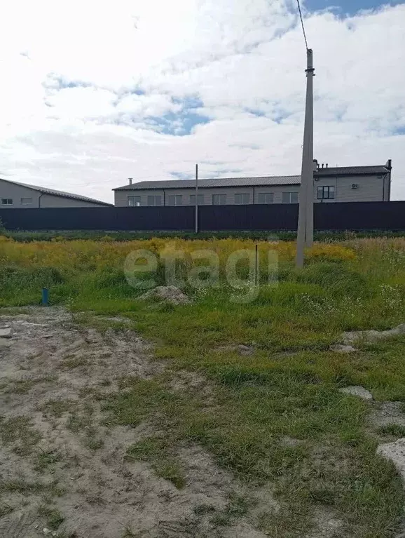 Участок в Брянская область, Брянский район, Новодарковичское с/пос, ... - Фото 2