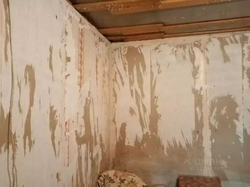 Участок в Краснодарский край, Темрюк  (46.0 сот.) - Фото 1