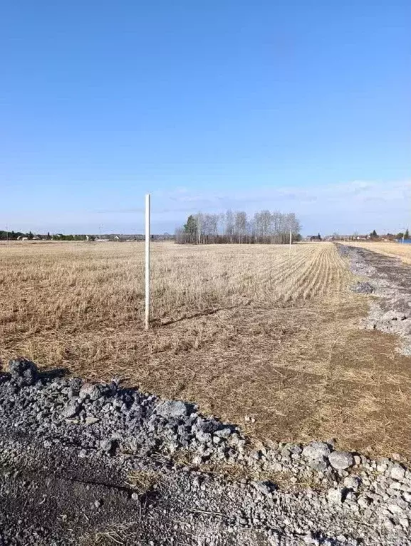 Участок 5,5 сот. (ИЖС) - Фото 1