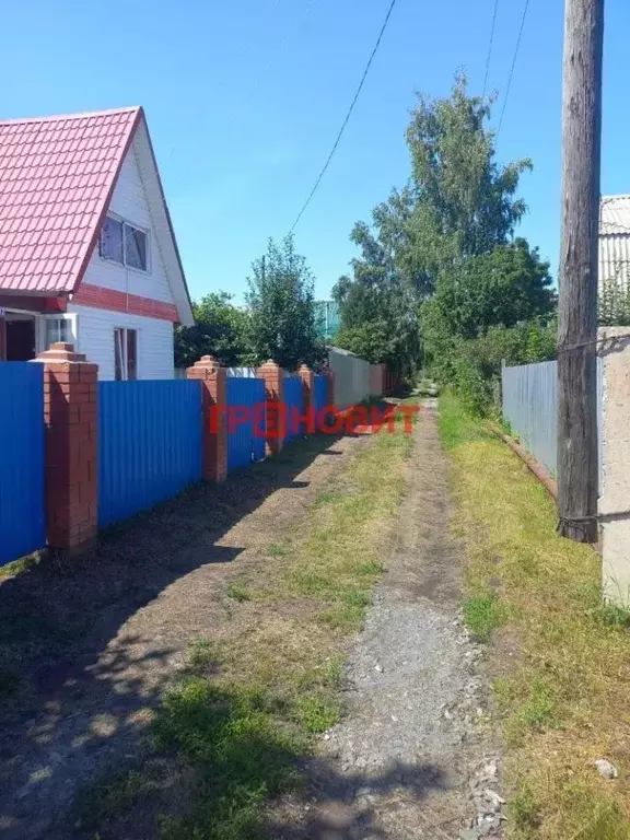 Участок в Новосибирская область, Ордынское рп, Рябинка СНТ ул. ... - Фото 2