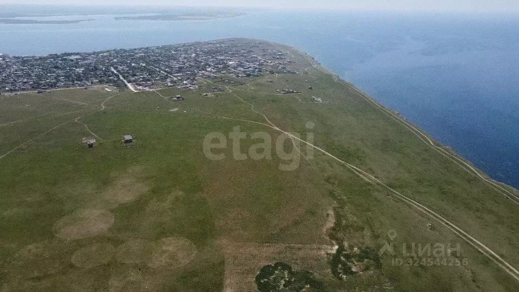 Участок в Крым, Черноморский район, с. Межводное  (121.03 сот.) - Фото 1