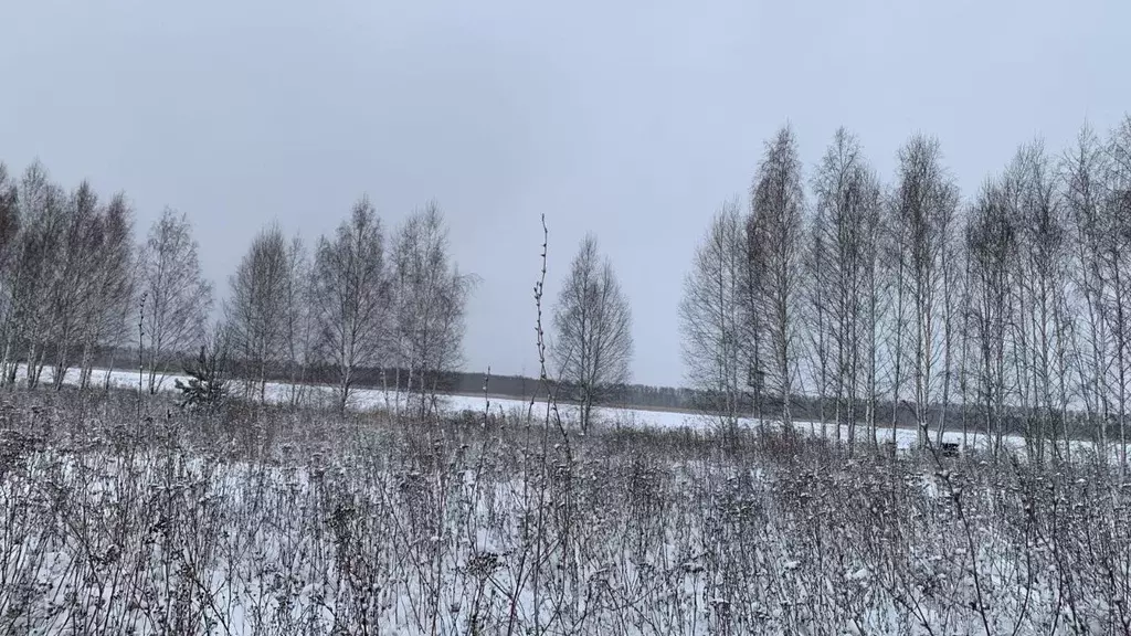 Участок в Рязанская область, Рыбновский муниципальный округ, д. ... - Фото 2