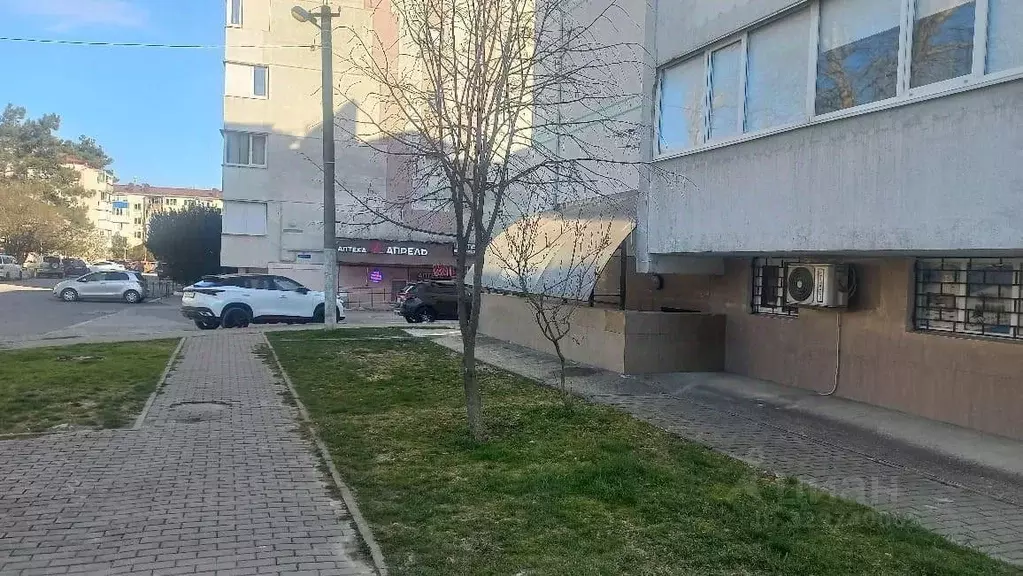 Помещение свободного назначения в Краснодарский край, Геленджик ... - Фото 1