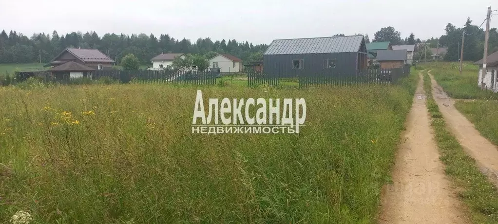 Участок в Ленинградская область, Волосовский район, Клопицкое с/пос, ... - Фото 2