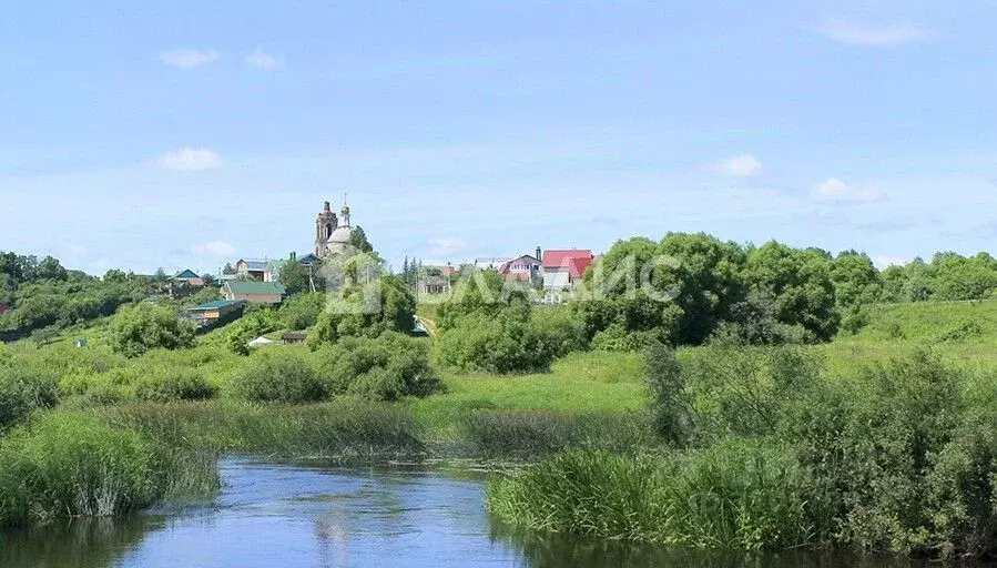 Участок в Владимирская область, Суздальский район, Павловское ... - Фото 0