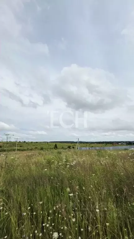 Участок в Тульская область, Тула проезд 3-й Газовый, 48 (12.11 сот.) - Фото 2