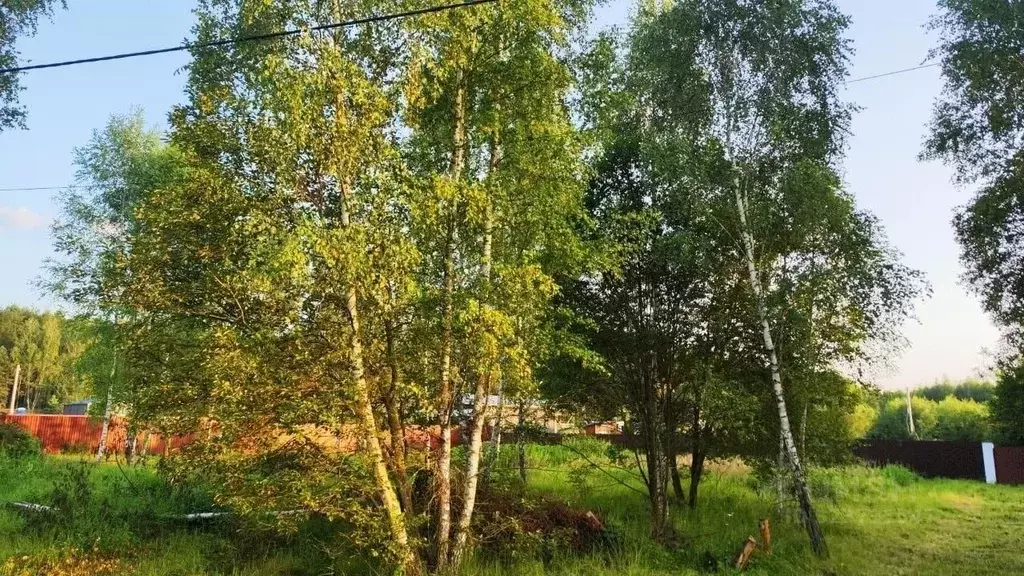 Участок в Тульская область, Заокский район, Страховское с/пос, д. ... - Фото 2