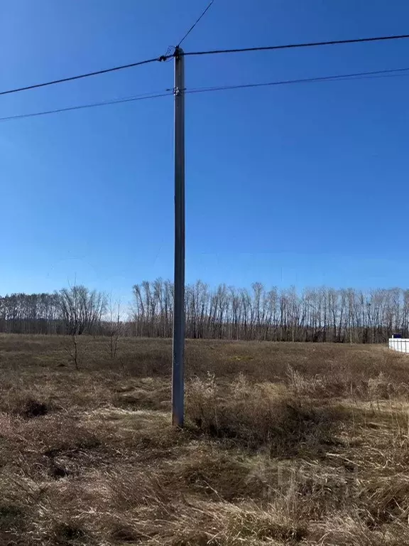 Участок в Омская область, Омский район, с. Усть-Заостровка, Иртышские ... - Фото 1