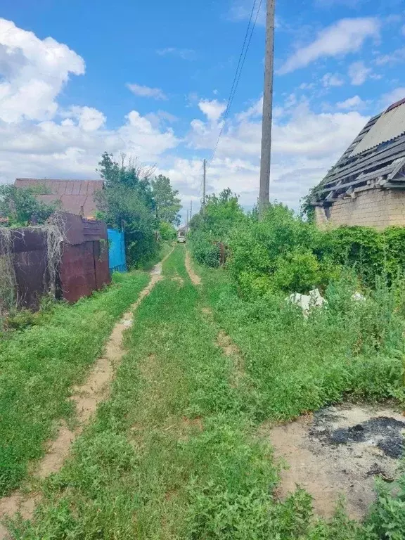 Участок в Оренбургская область, Оренбургский район, Весенний ... - Фото 1