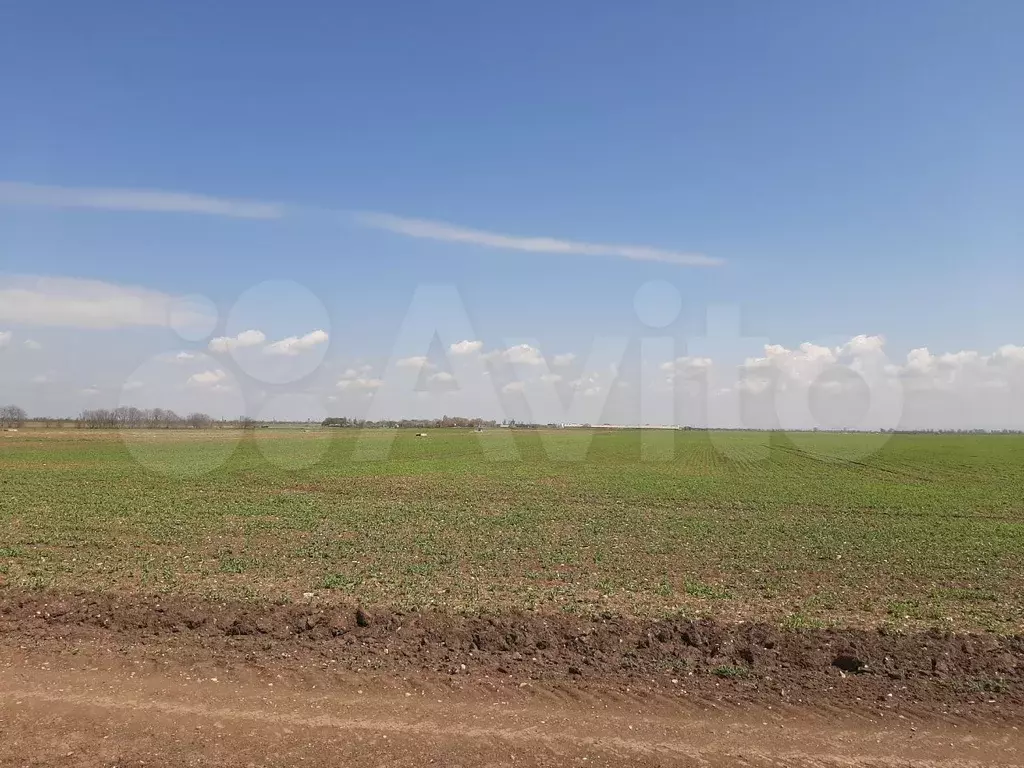 Участок 9,35 га (СНТ, ДНП) - Фото 1