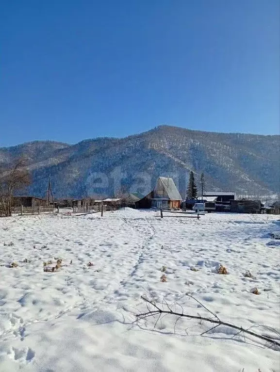 Участок в Алтай, Шебалинский район, с. Черга Октябрьская ул. (15.0 ... - Фото 1