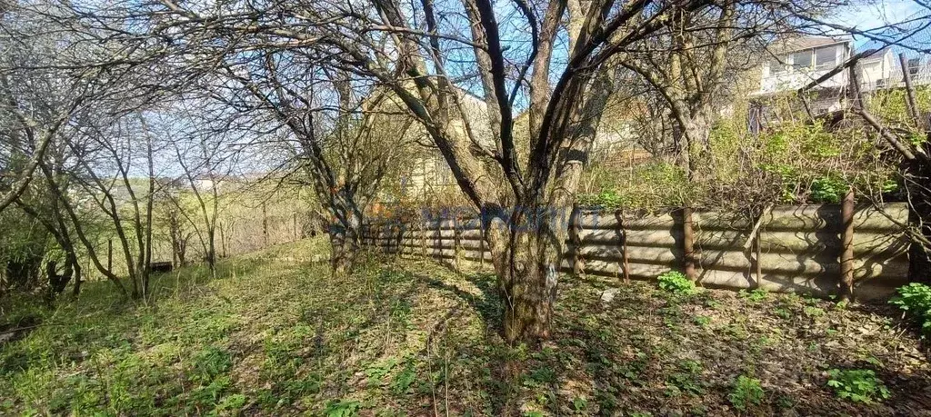 Дом в Нижегородская область, Нижний Новгород Кирпичник СНТ, 590 (30 м) - Фото 2