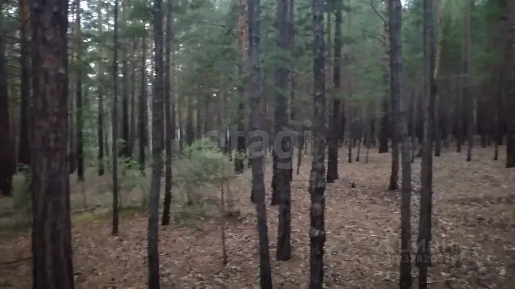 Участок в Забайкальский край, Читинский район, Металлург СНТ  (95.0 ... - Фото 0