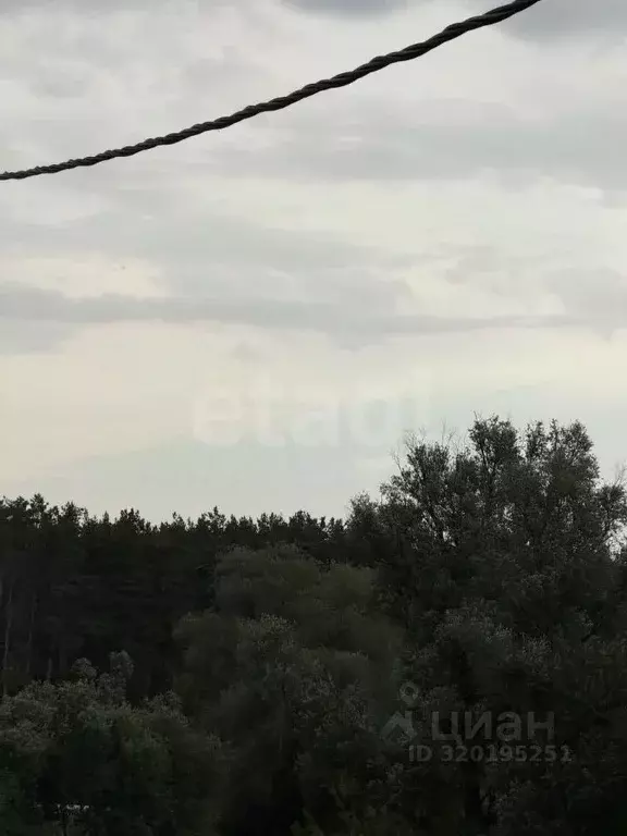 Участок в Курская область, Курский район, Шумаковский сельсовет, с. ... - Фото 0