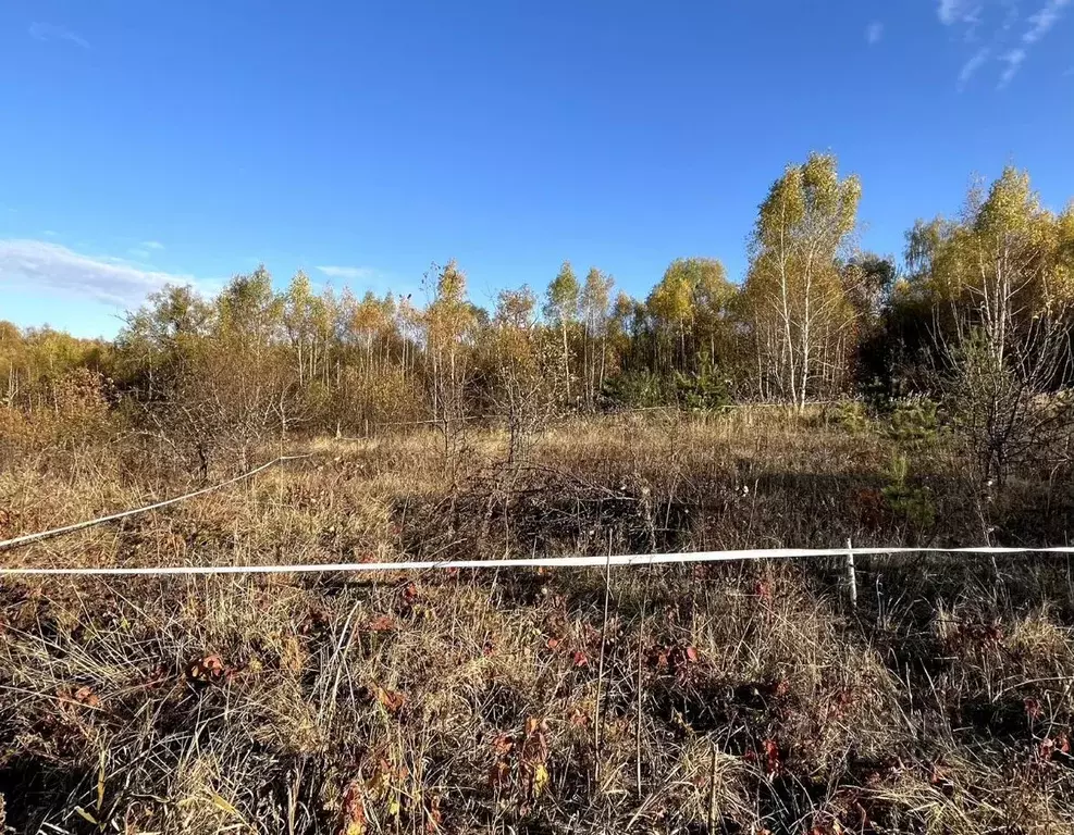 Участок в Московская область, Кашира городской округ, д. Тарасково ул. ... - Фото 1