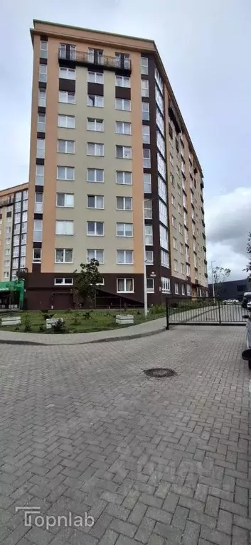 2-к кв. Калининградская область, Калининград ул. Александра Невского, ... - Фото 1