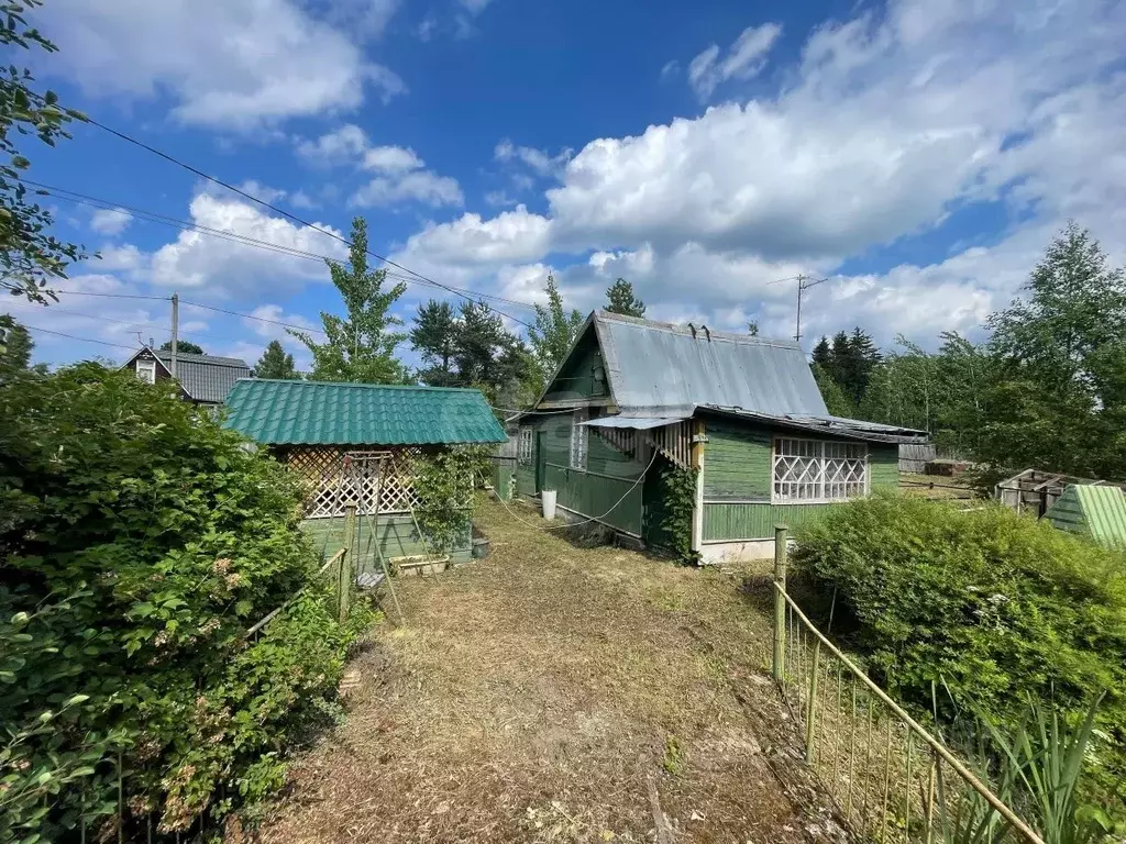 Участок в Ленинградская область, Кировский район, Синявинское ... - Фото 1