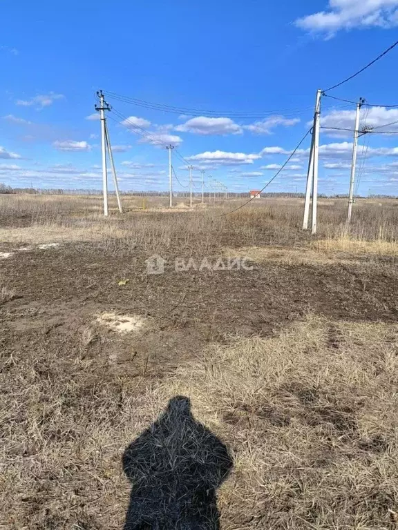 Участок в Тамбовская область, Тамбовский муниципальный округ, д. ... - Фото 1