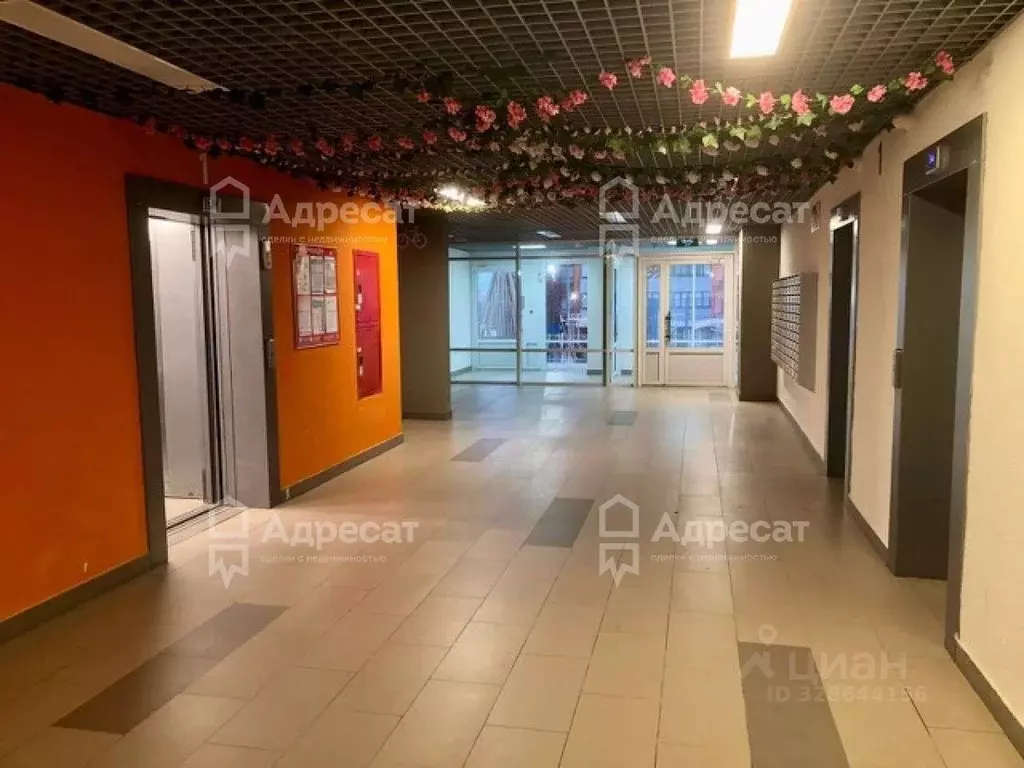 3-к кв. Волгоградская область, Волгоград ул. Степанищева, 4 (63.5 м) - Фото 1