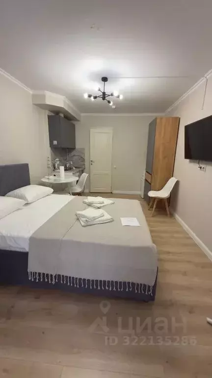 1-к кв. Краснодарский край, Сочи Центральный мкр, ул. Роз, 39 (21.0 м) - Фото 1