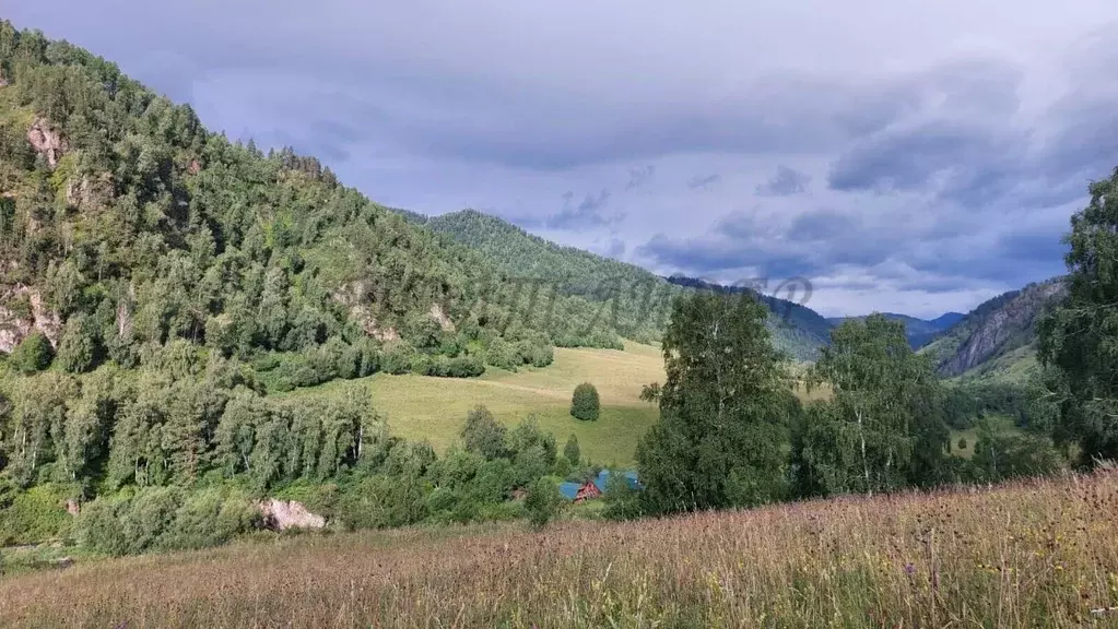 Участок в Алтай, Чемальский район, с. Уожан Заречная ул. (6.0 га.) - Фото 2