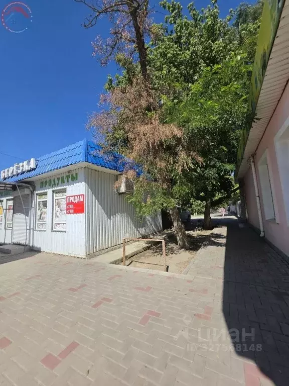 Торговая площадь в Крым, Ленино пгт ул. Энгельса, 13Г (39 м) - Фото 2