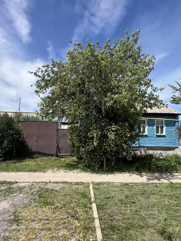 Дом в Белгородская область, Короча ул. Дорошенко (48 м) - Фото 1