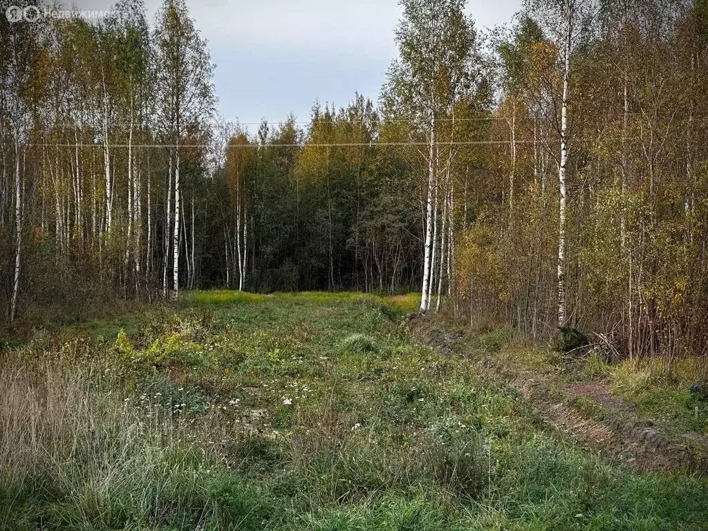 Участок в Малая Вишера, 3-я Парковая улица (12 м) - Фото 0