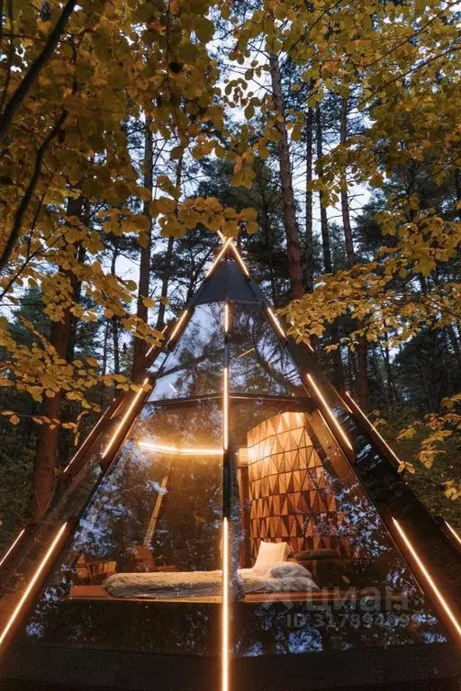 Дом в Калужская область, Жуковский район, Верховье с/пос, База отдыха ... - Фото 2