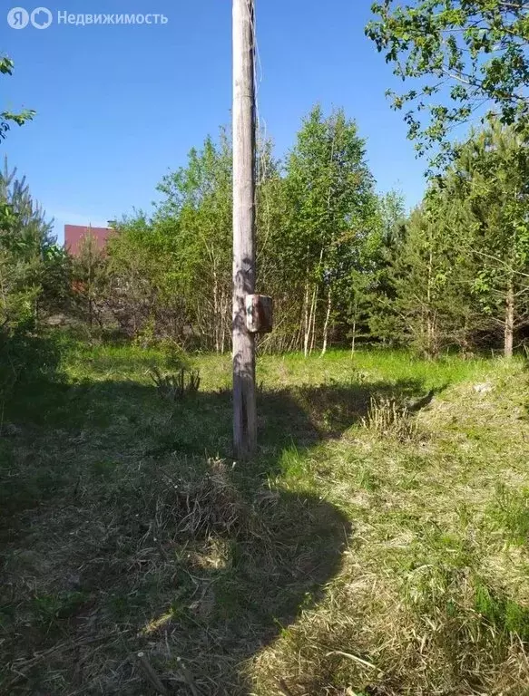 Участок в Пениковское сельское поселение, садовое товарищество Лада, ... - Фото 1