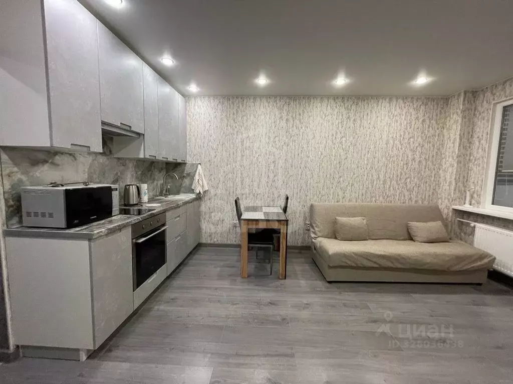 Студия Санкт-Петербург пос. Шушары, просп. Новгородский, 2к1 (26.0 м) - Фото 2