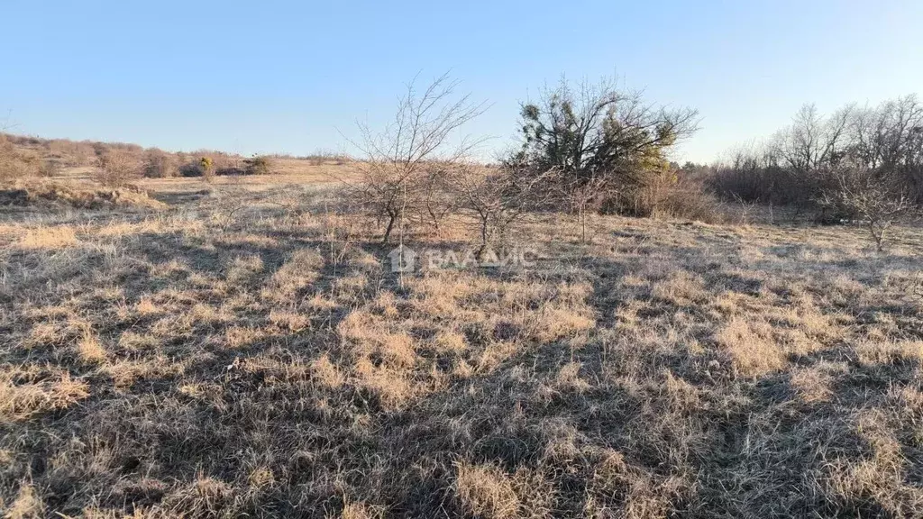 Участок в Крым, Симферопольский район, Мазанское с/пос, с. Опушки ул. ... - Фото 2