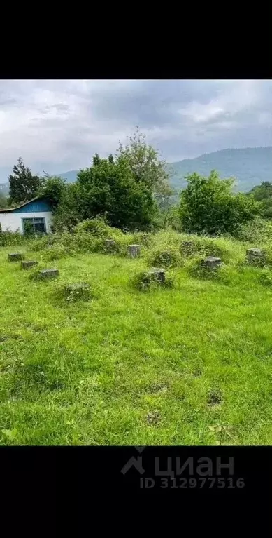 Участок в Краснодарский край, Сочи городской округ, с. Вардане-Верино, ... - Фото 0