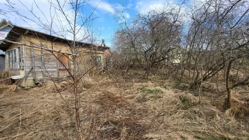 Участок в Ленинградская область, Кировский район, Синявинское ... - Фото 2