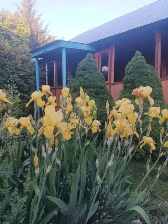Дом в Самарская область, Сызранский район, пос. Варламово ул. ... - Фото 2