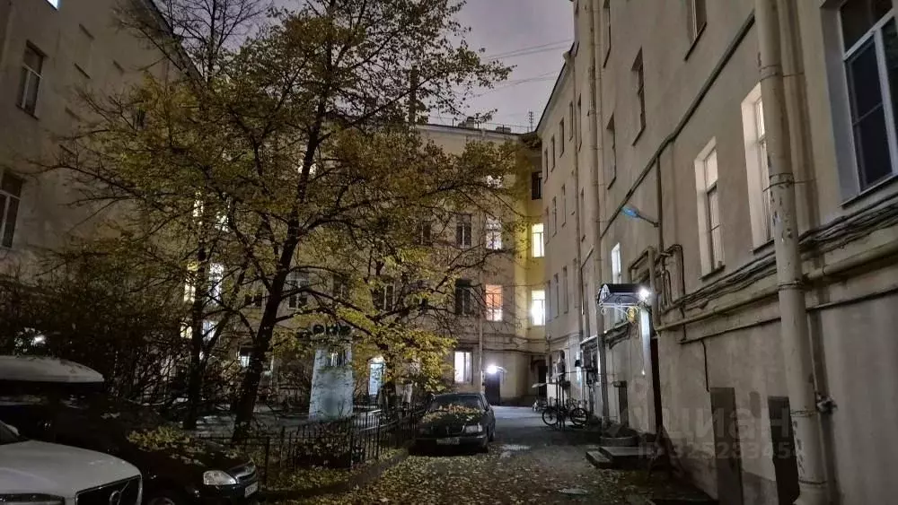 Комната Санкт-Петербург наб. Реки Фонтанки, 32/1 (27.3 м) - Фото 1