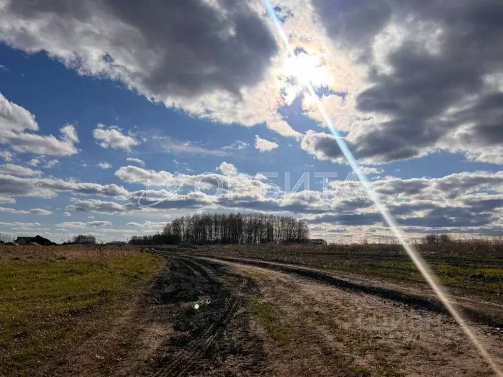 Участок в Тюменская область, Тюменский муниципальный округ, д. Большие ... - Фото 2