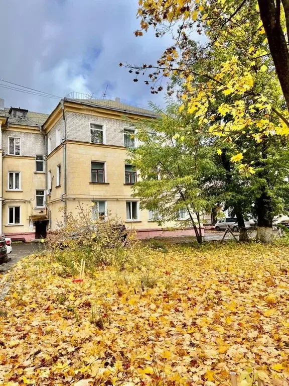 2-к кв. Брянская область, Брянск Московский просп., 56 (50.4 м) - Фото 0
