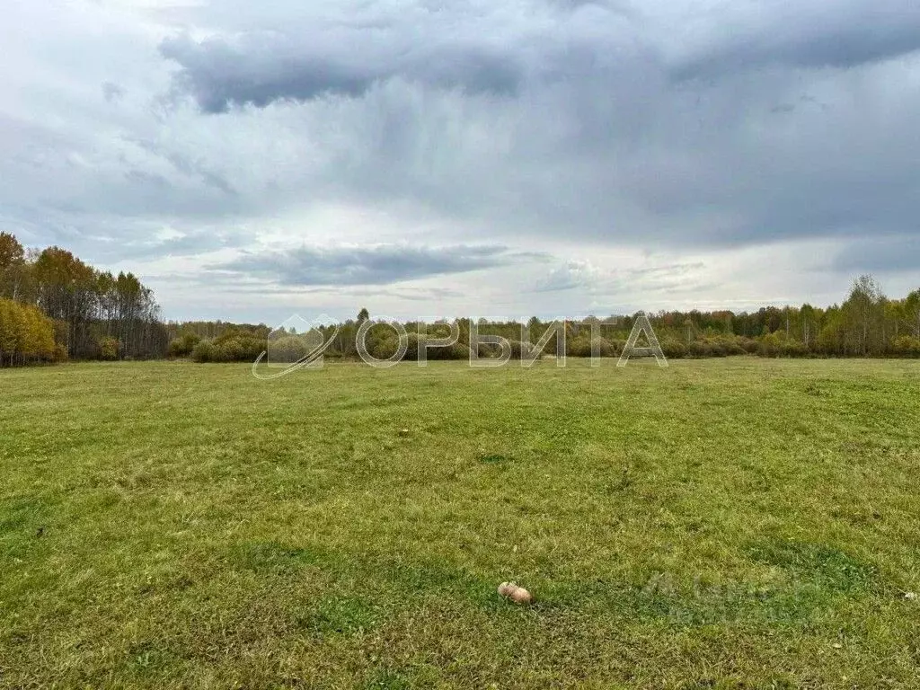 Участок в Свердловская область, Слободо-Туринский район, ... - Фото 0