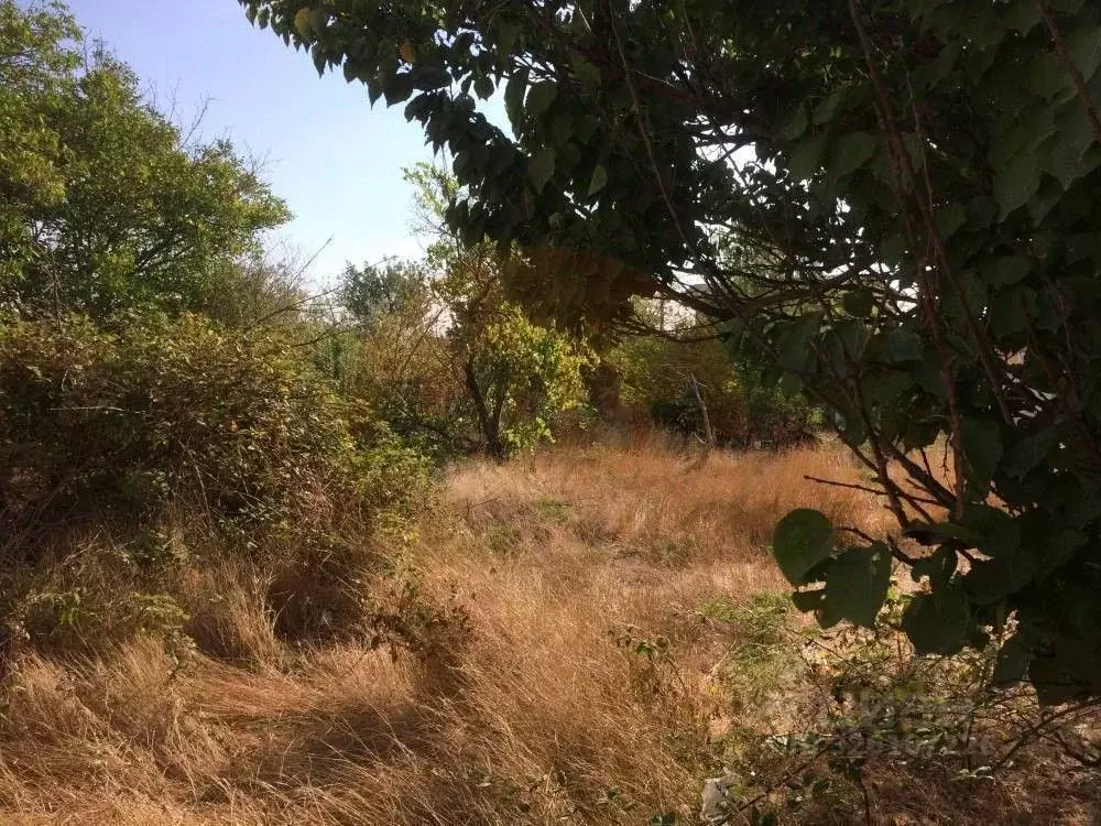 Участок в Крым, Сакский район, с. Фрунзе ул. Спортивная (8.0 сот.) - Фото 1