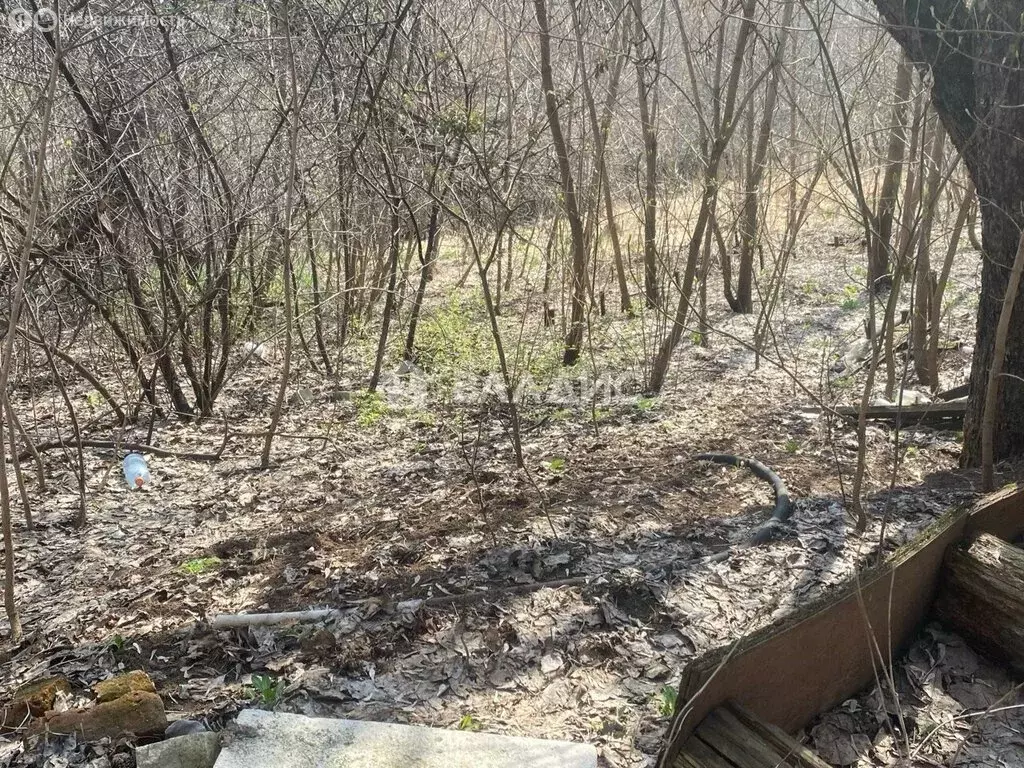 Участок в деревня Кузьминка, улица Талалушкина, 3 (15 м) - Фото 0