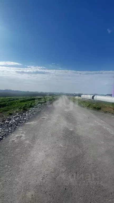Участок в Белгородская область, Белгородский район, Головинское с/пос, ... - Фото 1