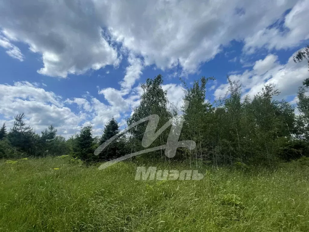 Продается участок в КП Усадьбы Удино - Фото 2