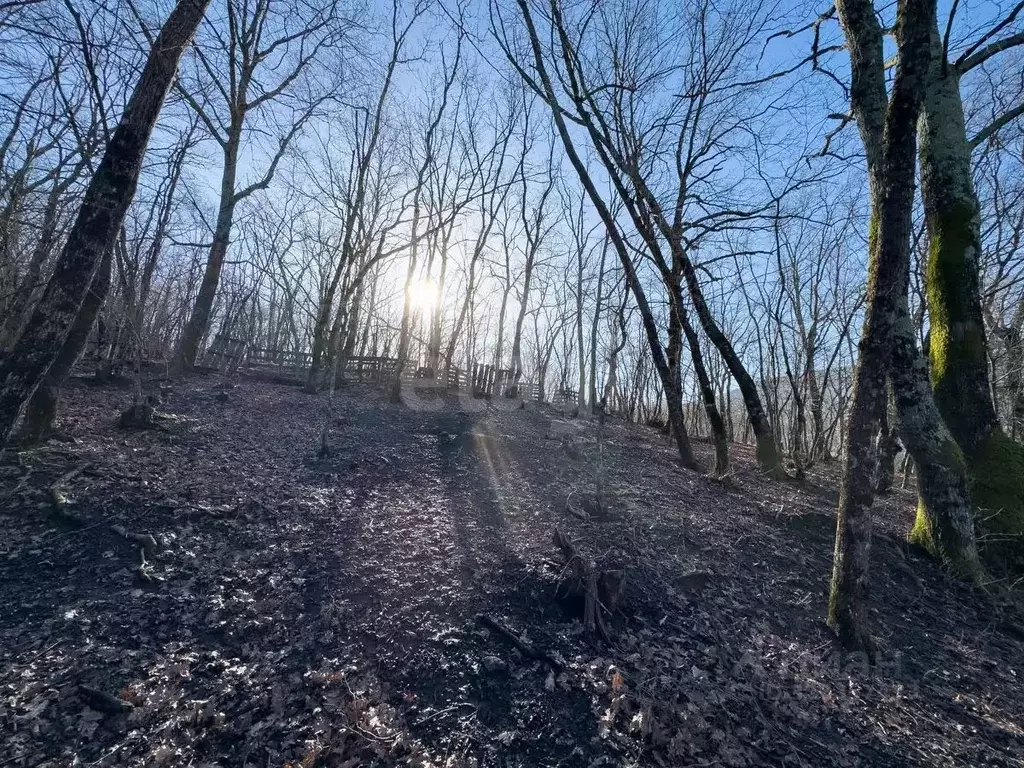 Участок в Краснодарский край, Геленджик городской округ, с. Адербиевка ... - Фото 2