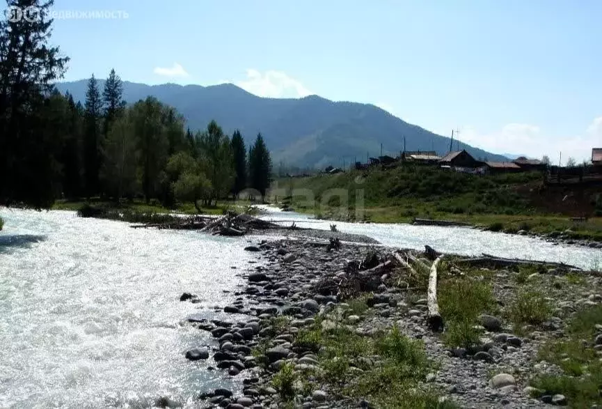 Участок в Усть-Коксинский район, посёлок Кучерла (20 м) - Фото 0