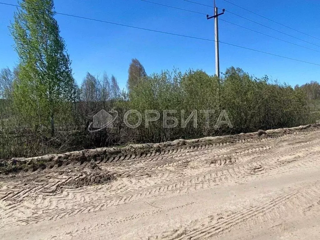 Участок в Тюменская область, Нижнетавдинский район, с. Тюнево  (10.0 ... - Фото 1