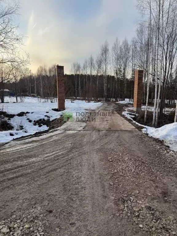 Участок в Кировская область, Киров городской округ, д. Олинцы  (12.94 ... - Фото 0